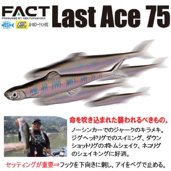 エバーグリーン ラストエース75 | エバーグリーン,【ワーム】 | 池袋