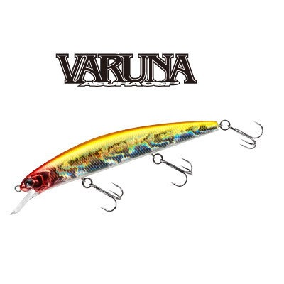 OSP �������110F