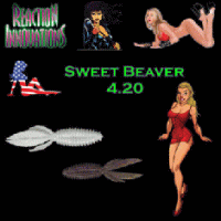 �ꥢ������󥤥Υ١�����󥺡��������ȥӡ��С���4.2�����