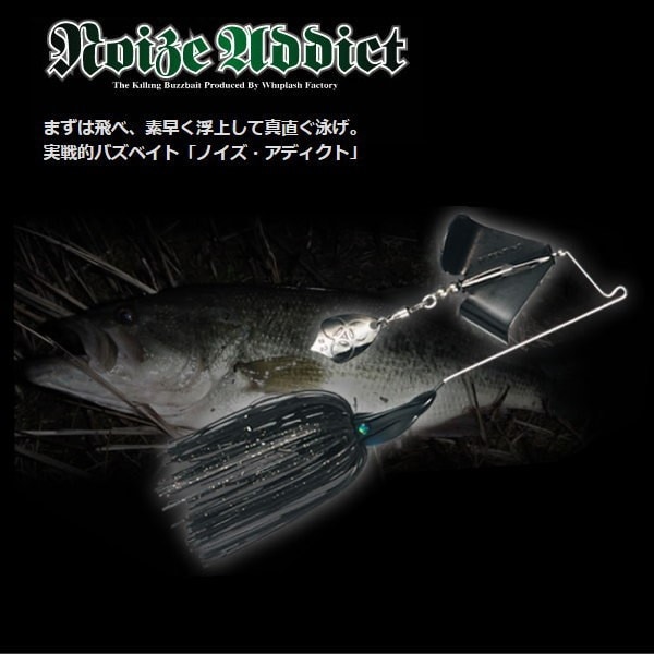 �����åץ�å���ե����ȥ꡼���Υ��������ǥ�����