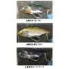 ���ޥ��ġ�������Х��� 12g����������顼