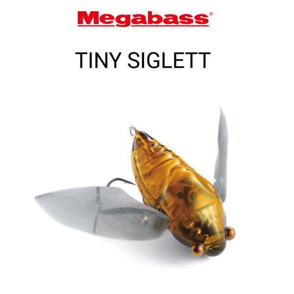 �ᥬ�Х��������ˡ�������