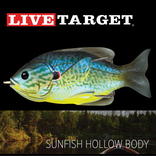 �饤�֥������åȡ�����ե��å��� �ۥ����ܥǥ�����SFH90T