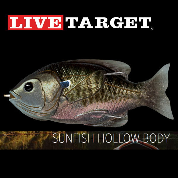 �饤�֥������åȡ�����ե��å��� �ۥ����ܥǥ�����SFH75T