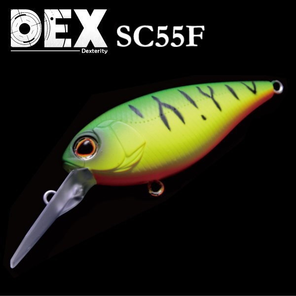 �С����쥤��DEX �ǥå��� SC55F ����åǥ��󥰥����