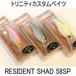 �ȥ�˥ƥ���������٥��� �쥸�ǥ�ȥ���å� 58SP