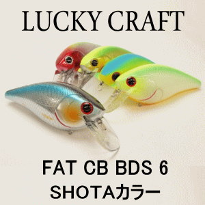 ラッキークラフトUSA FAT CB B.D.S.6 SHOTAカラー | ラッキークラフト