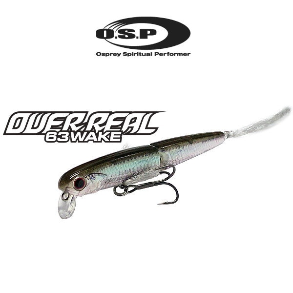 OSP�������С��ꥢ�� 63 ��������