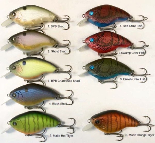 �˥��ͥ륢������������åѥ�RB �������ե�����