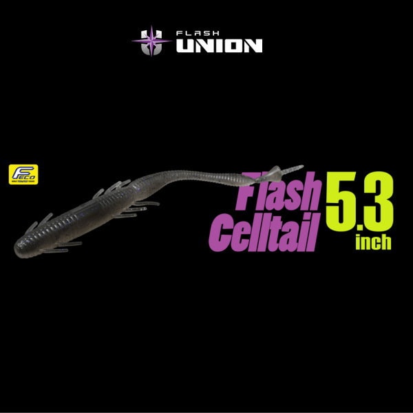 �ե�å����˥��󡡥ե�å��奻��ƥ��� 5.3�����