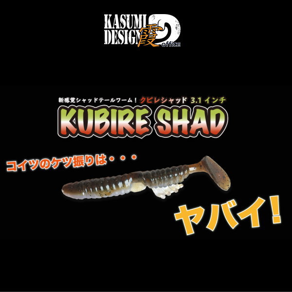 ��ǥ����󡡥��ӥ쥷��åɡ�3.1�����