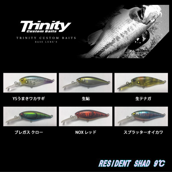 �ȥ�˥ƥ���������٥��� �쥸�ǥ�ȥ���å� 9��C