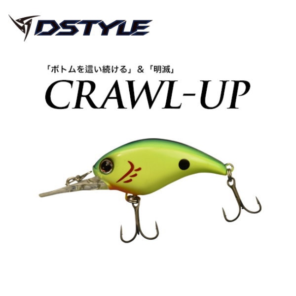 DSTYLE�ʥǥ���������ˡ��������륢�å�