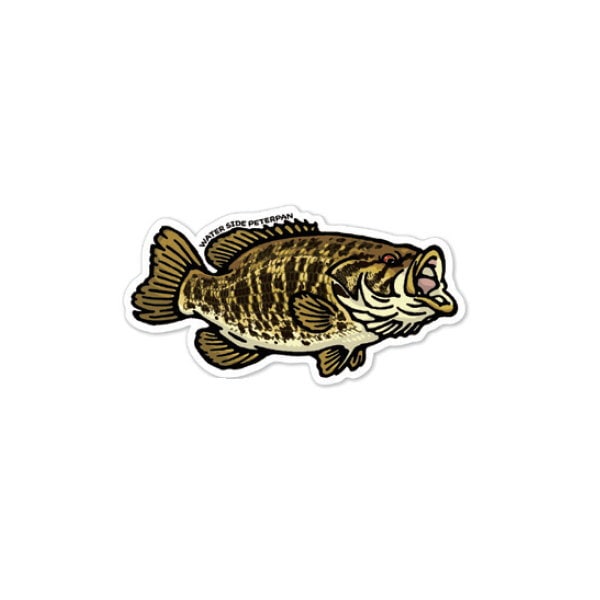 ���������������ɥԡ������ѥ󡡥��⡼��ޥ����Х����ƥå�����R������