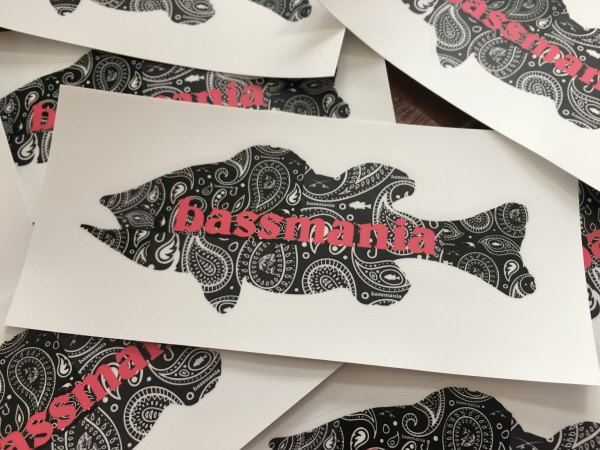 �Х��ޥ˥���paisley stickerr