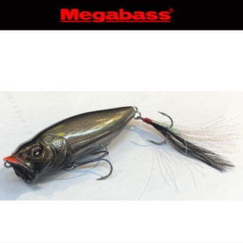 �ᥬ�Х���2019��奮���꡼���ꥫ�顼