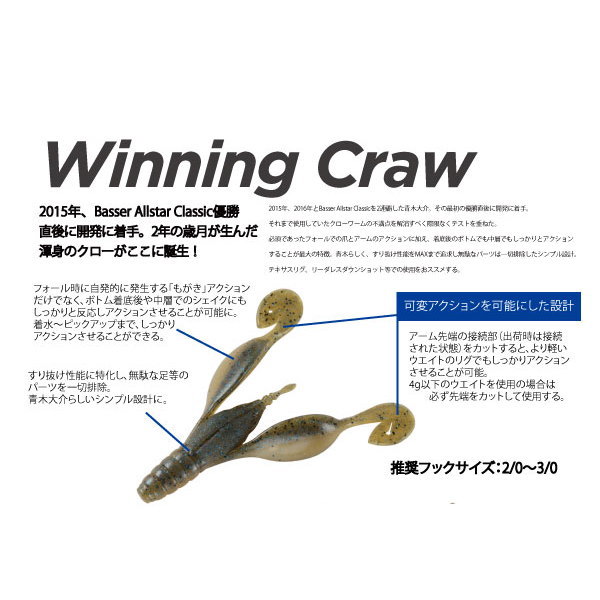 DSTYLE�ʥǥ���������� �����˥󥰥����� 3.6�����