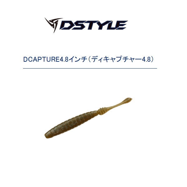 �ǥ��������롡�ǥ�����ץ��㡼4.8