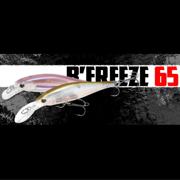 ��å�������եȡ��ӡ��ե꡼����65SP