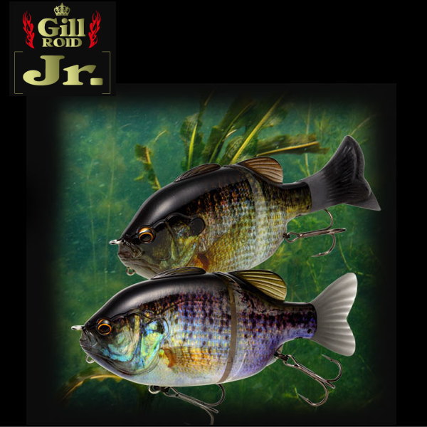 IMAKATSU GILLRoid Jr. 夜光貝 GillRoid Jr. | IMAKATSU