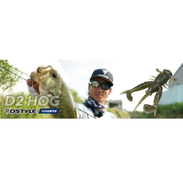 ǥ롡ǥġۥåD2 HOG