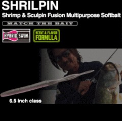 �Υ꡼����5�� ������ԥ�