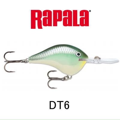 ��ѥ顡DT-6�������֥����ȥ�