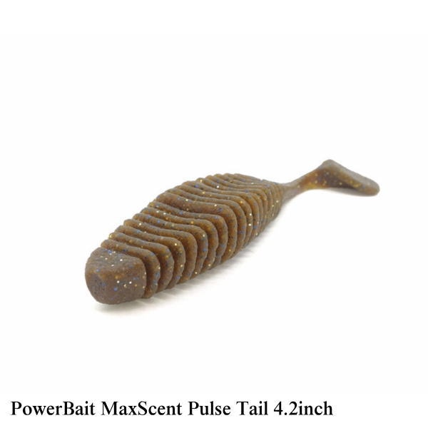 �С����쥤 �ޥå�������� �ѥ륹�ơ��� 4.2�����