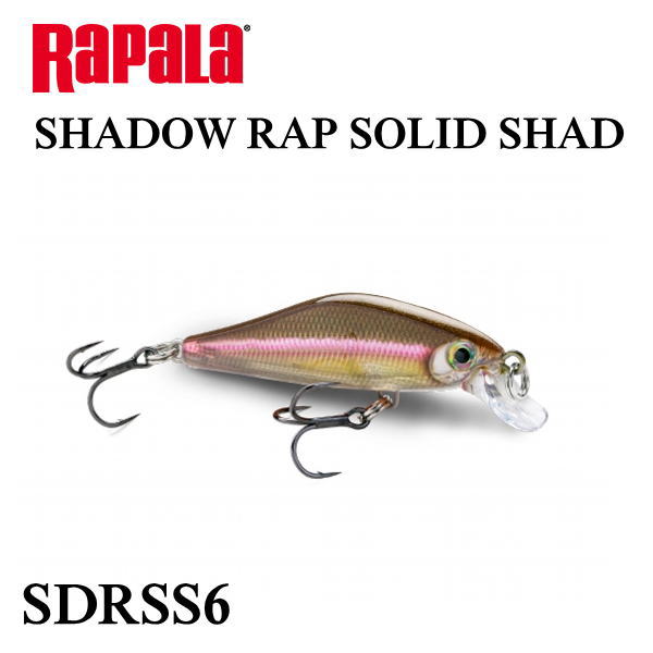 ��ѥ�  SDRSS6 ����ɥ���å� ����åɥ���å�