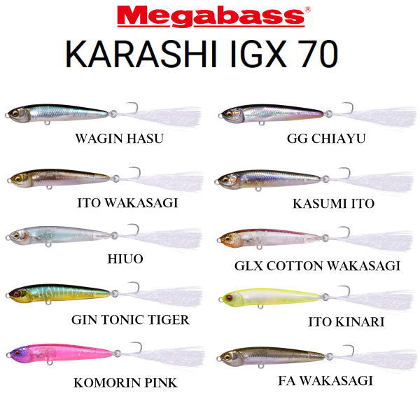 �ᥬ�Х� ���饷IGX 70F �ե����ƥ��󥰥�ǥ�