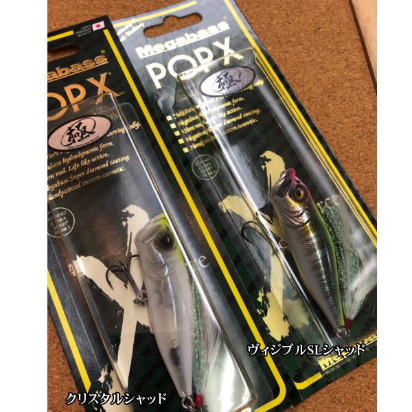 �ᥬ�Х� �˥��顼