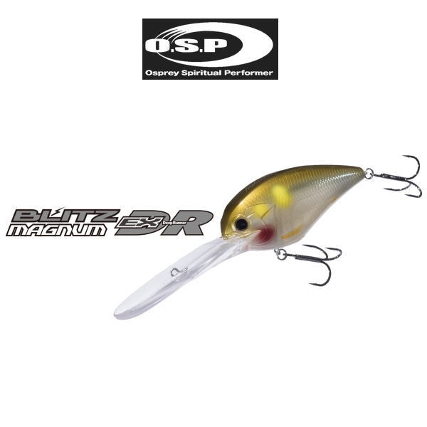 OSP �֥�å� �ޥ��ʥ� EX-DR