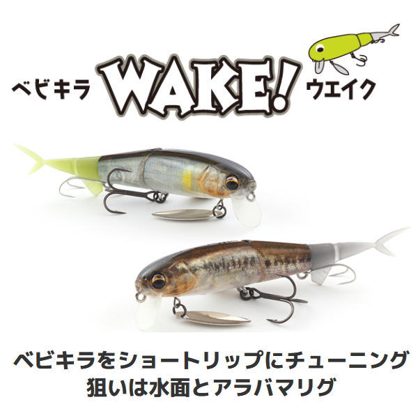 ���ޥ��� �٥ӥ���WAKE