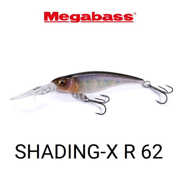 �ᥬ�Х� ����åǥ���X R 62 SHADING-X R 62
