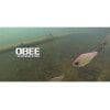 ˡ֥ OBEE ӡ 11g