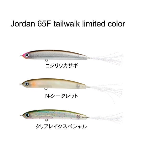 �ƥ��륦�������ߥϥ󥯥� ���硼����65F