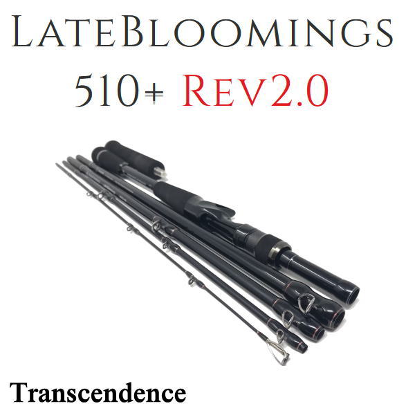 TRANSCENDENCE LateBloomings510+���쥤�ȥ֥롼�ߥ󥰥�510+