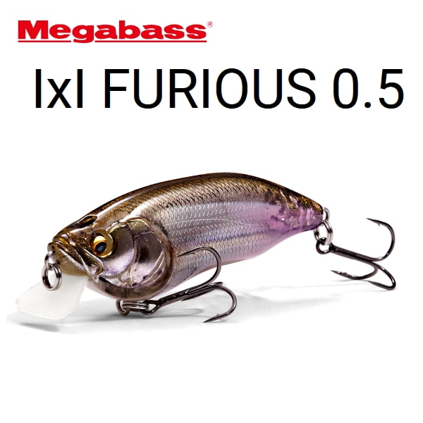 �ᥬ�Х� IxI �ե塼�ꥢ��0.5 IxI FURIOUS0.5