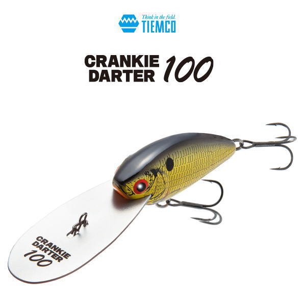 �ƥ��ॳ ����󥭡��������� 100