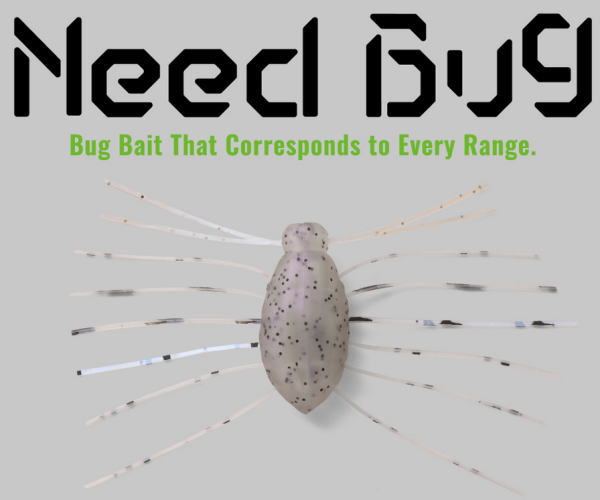 ����å��� �ˡ��ɥХ�