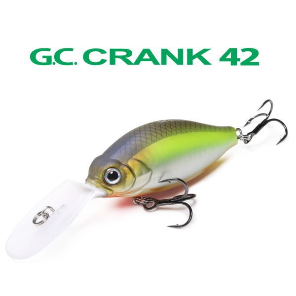 ���� issei GC����� 42MR