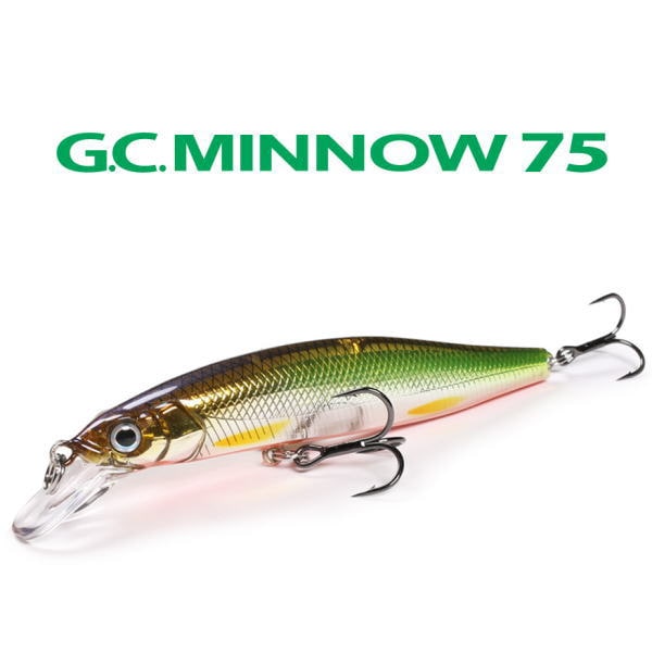 ���� GC�ߥΡ�75SR-SP