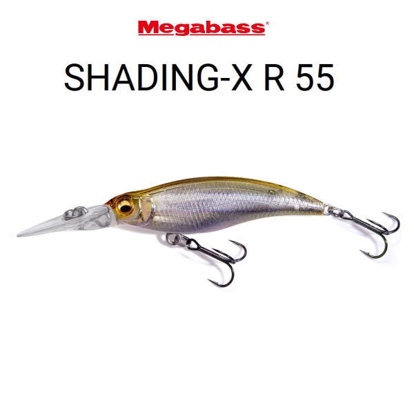 �ᥬ�Х� ����åǥ���X R55SP SHADING-X R55SP