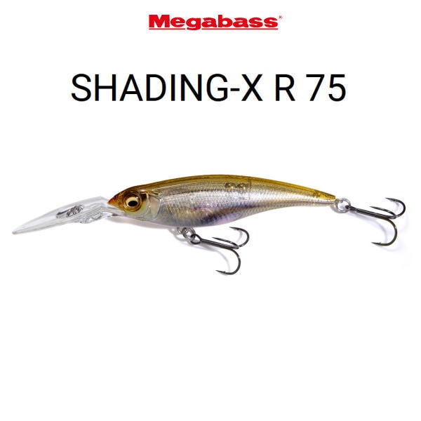 ᥬХ åǥX R75SP SHADING-X R75SP