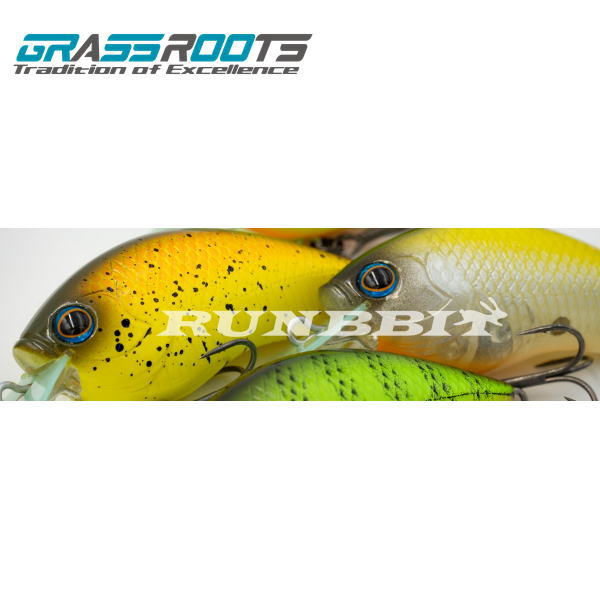 ���饹�롼�� ���ӥå�