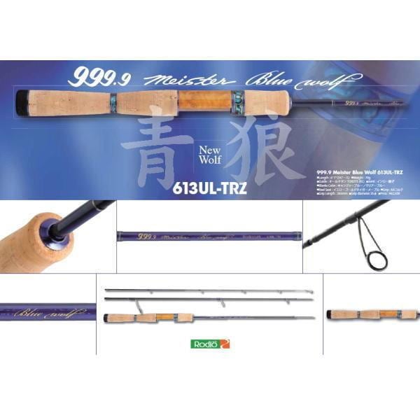 ���ǥ�����ե� 999.9 �֥롼����� 613UL-TRZ