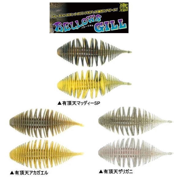 ��������å� �٥��������� ͭĺŷ���顼