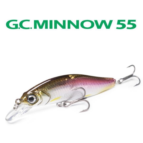 ���� issei GC�ߥΡ� 55SR F �ե����ƥ���