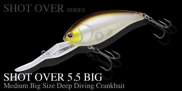 �Υ꡼�� ����åȥ����С� 5.5 �ӥå�