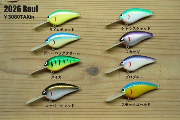 skillful ������ե� Raul �饦���� 2026ǯ���顼